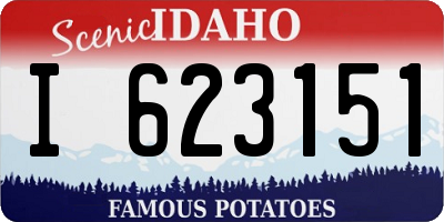 ID license plate I623151