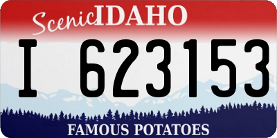 ID license plate I623153