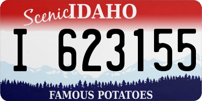 ID license plate I623155