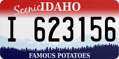 ID license plate I623156