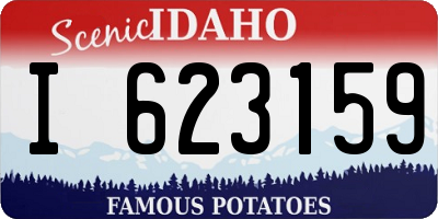 ID license plate I623159