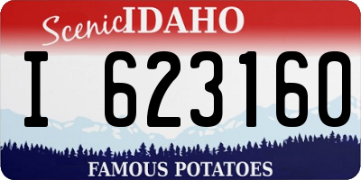 ID license plate I623160
