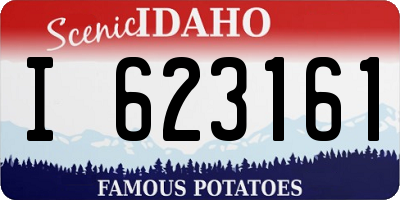 ID license plate I623161