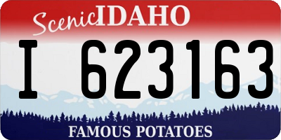 ID license plate I623163