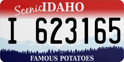 ID license plate I623165
