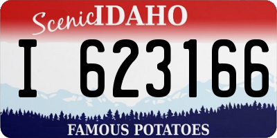 ID license plate I623166
