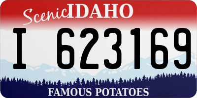 ID license plate I623169