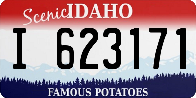 ID license plate I623171