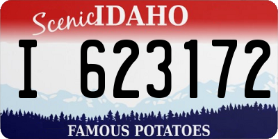 ID license plate I623172