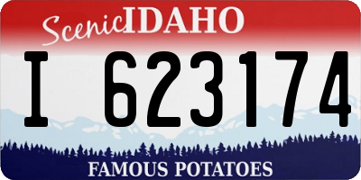 ID license plate I623174