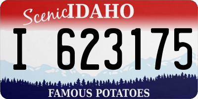 ID license plate I623175