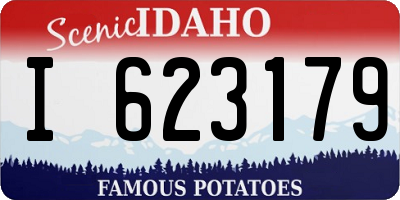 ID license plate I623179