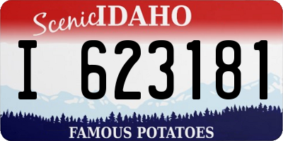 ID license plate I623181