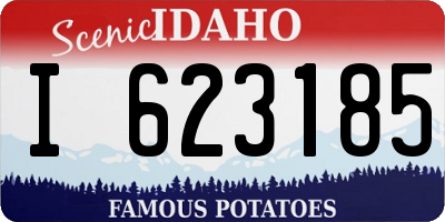 ID license plate I623185