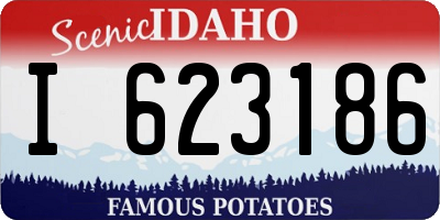 ID license plate I623186