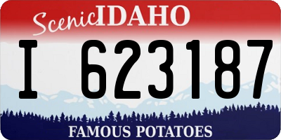 ID license plate I623187