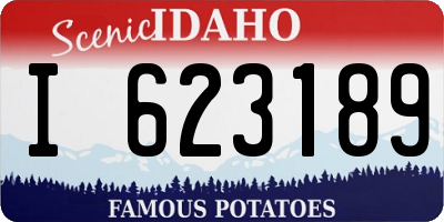 ID license plate I623189