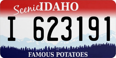 ID license plate I623191