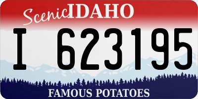 ID license plate I623195