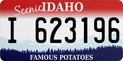 ID license plate I623196