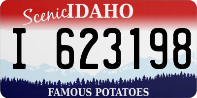 ID license plate I623198