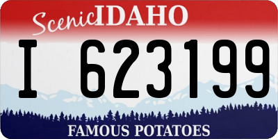 ID license plate I623199