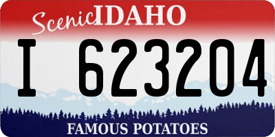 ID license plate I623204
