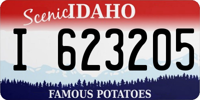 ID license plate I623205