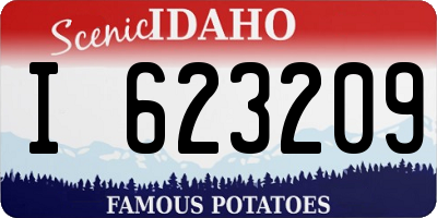 ID license plate I623209