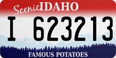 ID license plate I623213