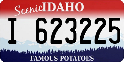 ID license plate I623225