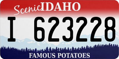 ID license plate I623228