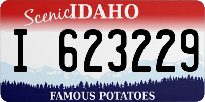 ID license plate I623229