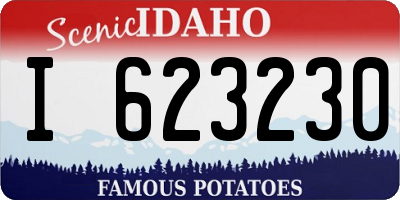 ID license plate I623230
