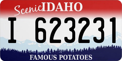 ID license plate I623231