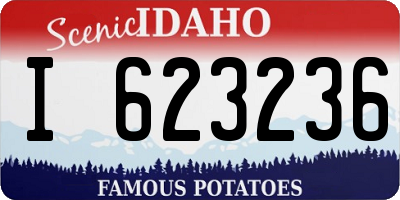 ID license plate I623236