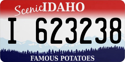 ID license plate I623238