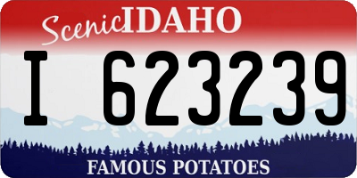 ID license plate I623239