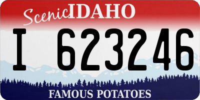 ID license plate I623246