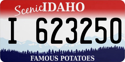 ID license plate I623250
