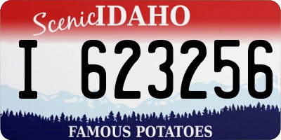 ID license plate I623256