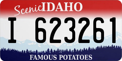ID license plate I623261