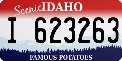 ID license plate I623263
