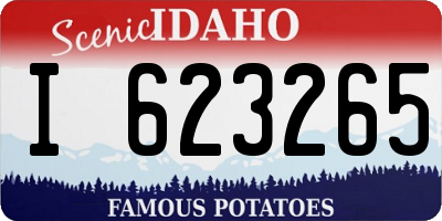 ID license plate I623265