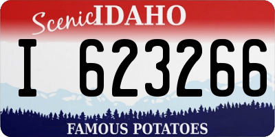 ID license plate I623266