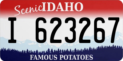 ID license plate I623267