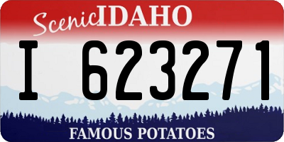 ID license plate I623271