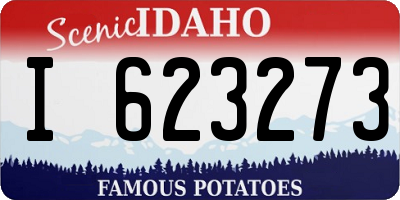 ID license plate I623273