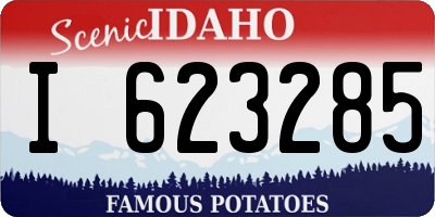 ID license plate I623285