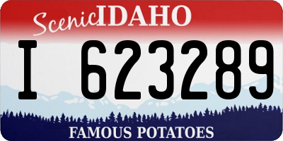 ID license plate I623289